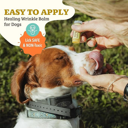 Natural Dog Company Wrinle Balm Bundle, (1) Dog Wrinkle Wipes, 50 Count (1) Travel Balm Stick, Dog Lotion for Dry Itchy Skin, Cleans Wrinkles, Plant Based, Dog Face Wipes