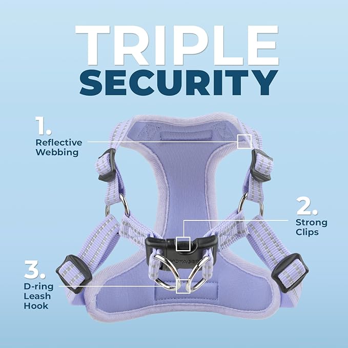 Best Pet Supplies Voyager Adjustable Step-in Flex Breathable Mesh Dog Harness for Small Medium Large Dogs (Lavender), XS