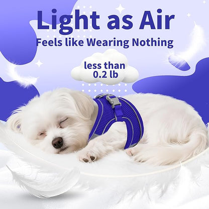 AIITLE Dog Harness, No-Pull Cat Harness with a Leash, Adjustable Reflective Dog Vest, Cat Harness Escape Proof, Outdoor Walking, Running,Training for Extra Small Dogs and House Cats Royal Blue XXXS
