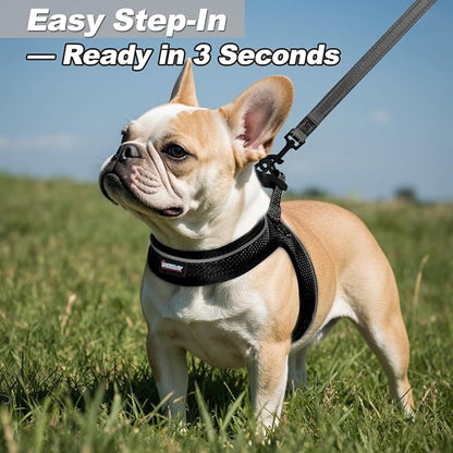 Dog Harness and Leash Set,Step in Small Sized Dog Harness,Soft Mesh,No-Chock,Reflective Adjustable,Secure with Hook & Loop Fastener,Puppy Vest for Small,Medium Dogs(Black,XS)