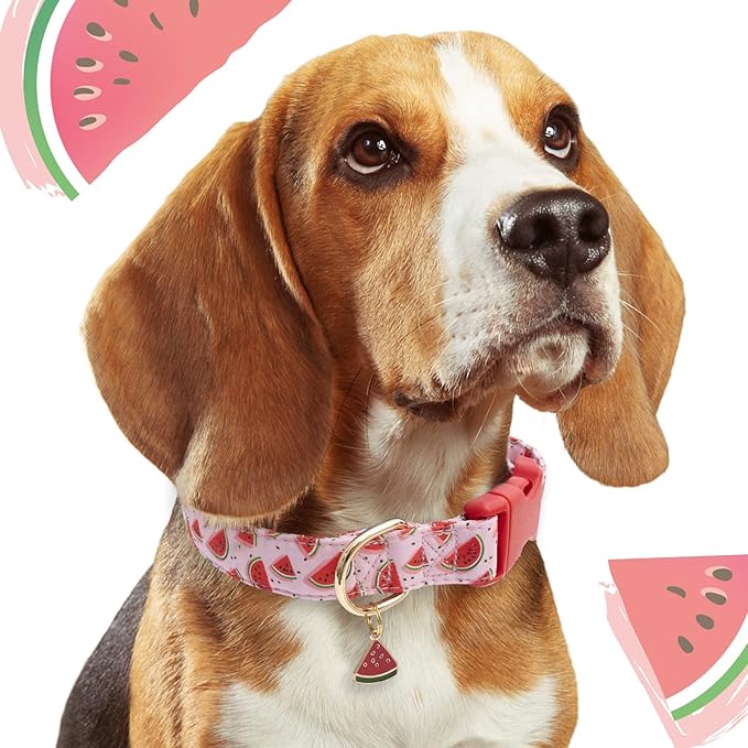 Faygarsle Cute Dog Collar for Girls Boy Dogs Soft Fancy Pet Collar with Watermelon Design Ideal Pink Summer Dog Collar for Small Medium Large Dogs XS