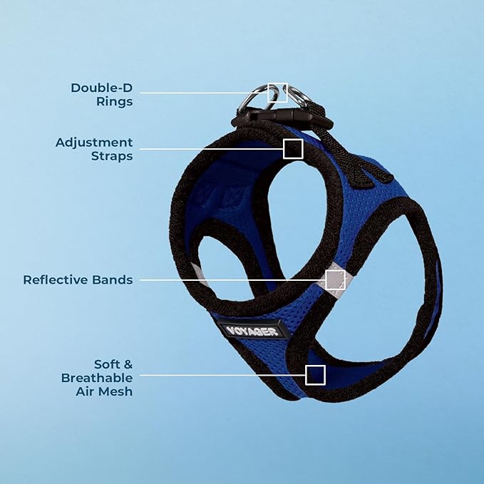 Best Pet Supplies Voyager Step-in Air Harness - All Weather Mesh, Reflective, No Pull Harness for Dogs, Cats - Secure with Hook & Loop Fastener, Buckle, Double D-Rings - Royal Blue/Black Trim, XXS