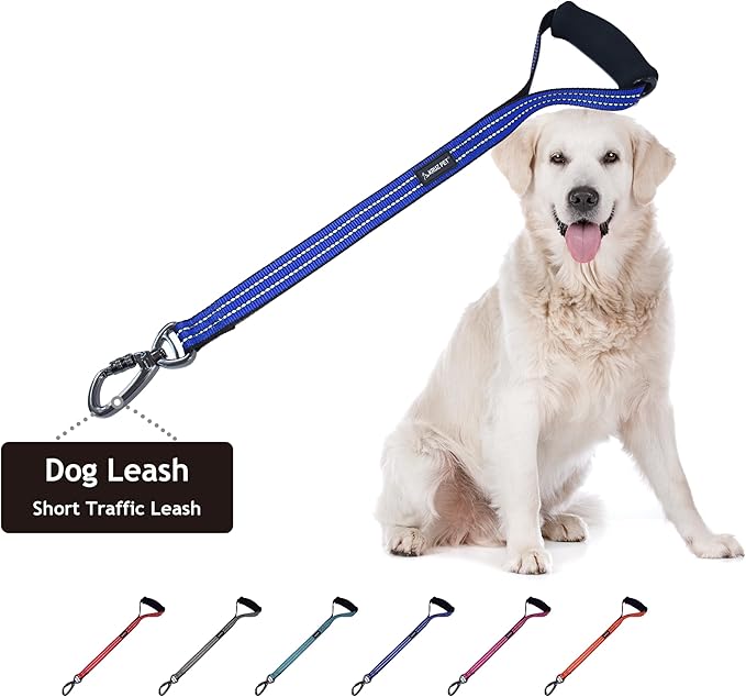 Kruz Dog Leash (Width - 1”, Length - 20 in) Reflective Rope Lead with Soft Silicone Grip, Click & Lock Snap, Durable Nylon Safety Lead with Locking Carabiner Clip & Foam Handle - Blue