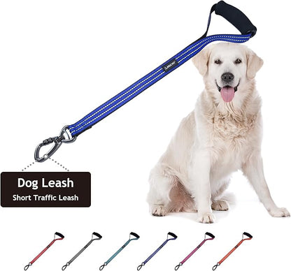 Kruz Dog Leash (Width - 1”, Length - 20 in) Reflective Rope Lead with Soft Silicone Grip, Click & Lock Snap, Durable Nylon Safety Lead with Locking Carabiner Clip & Foam Handle - Blue