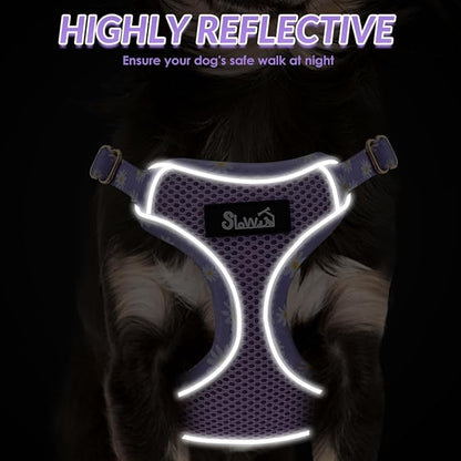SlowTon Small Dog Harness - No Pull Dog Harness and Leash Set, Soft Mesh Lightweight Puppy Vest Harnesses, Adjustable Pet Harnesses for XXS XS Small Medium Easy Walk Hiking (Purple, S)