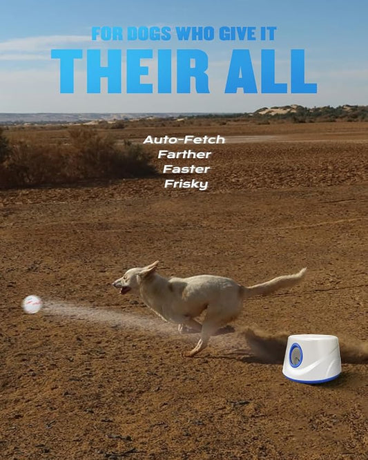 AIRSHOOTER Automatic Ball Thrower for Dogs, Ball Launcher for Dogs - 2.3" Dog Balls * 6Pack (Blue)