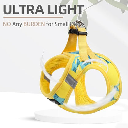 PUPTECK Dog Harness and Leash Set for Small Medium Dogs No Pull Step-in Soft Mesh Puppy Cat Vest Harnesses Reflective at Night, Yellow Lemon, S