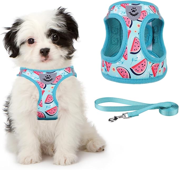 KOOLTAIL Dog Harness and Leash Set for Small Medium Dogs, Step in No Pull Soft Mesh Dog Harness Comfort Padded Pet Vest, Adjustable Reflective Easy Walking Puppy Cats Harness Training, Watermelon S