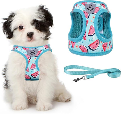KOOLTAIL Dog Harness and Leash Set for Small Medium Dogs, Step in No Pull Soft Mesh Dog Harness Comfort Padded Pet Vest, Adjustable Reflective Easy Walking Puppy Cats Harness Training, Watermelon S