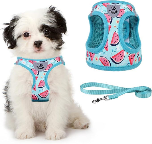 KOOLTAIL Dog Harness and Leash Set for Small Medium Dogs, Step in No Pull Soft Mesh Dog Harness Comfort Padded Pet Vest, Adjustable Reflective Easy Walking Puppy Cats Harness Training, Watermelon S