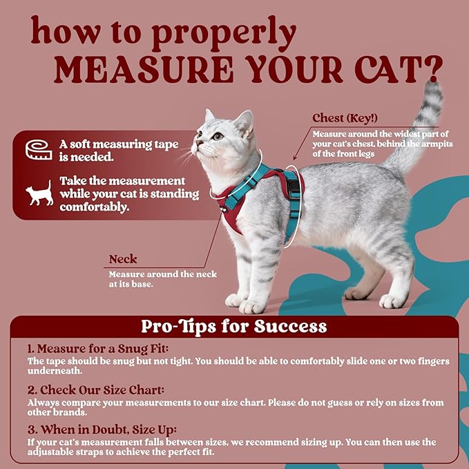 rabbitgoo Cat Harness and Leash for Walking, Escape Proof Soft Adjustable Vest Harnesses for Cats, Easy Control Breathable Reflective Strips Jacket, Red & Teal, S