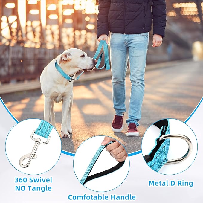 6 Sets Reflective Dog Leash and Collar Set, Nylon Leashes Adjustable Dog Collar Heavy Duty Padded Handle Leash for Small Medium Large Dogs Walking Training(Lovely Color)