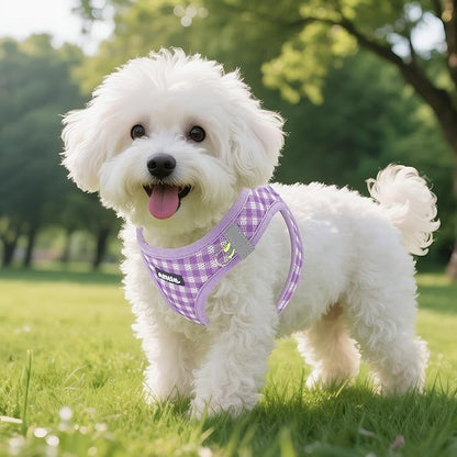 AIITLE Adjustable Dog Vest Harness Set – No-Pull Design, Plaid Print & Reflective Safety– Fits Poodles, Shih Tzus & Medium-Sized Dogs up to 38lbs (M, Purple)