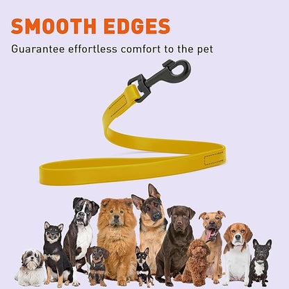 Dogline Biothane Waterproof Dog Leash Strong Coated Nylon Webbing with Black Hardware Odor-Proof Easy to Clean High Performance for Small or Large Dogs Made in USA 2 ft Lead, Treasure Gold
