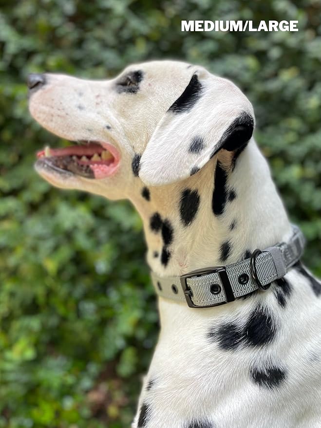 Tuff Pupper Heavy Duty Dog Collar with Handle | Ballistic Nylon Heavy Duty Collar | Padded Reflective Dog Collar with Adjustable Stainless Steel Hardware | Convenient Sizing for All Breeds