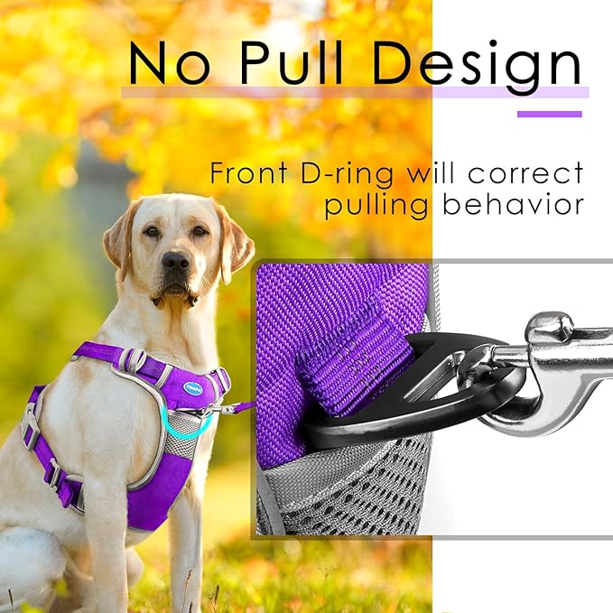 ThinkPet No Pull Harness Set Breathable Sport Harness with Handle - Reflective Padded Dog Safety Vest with Reflective Neon Dog Leash XL Harness Leash Pack Purple
