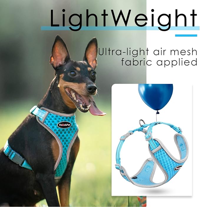ThinkPet Reflective Breathable Soft Air Mesh No Pull Puppy Choke Free Over Head Vest Harness for Puppy Small Medium Dogs and Cats Light Blue Small
