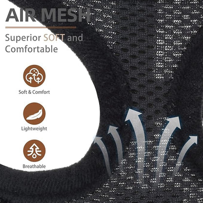 PUPTECK Soft Mesh Dog Harness and Leash Set Pet Puppy Cat Comfort Padded Vest No Pull Harnesses, Solid Black, M