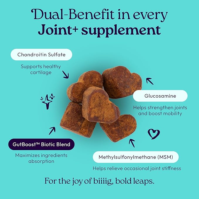 New! WellJoy Dog Supplement Joint+ GutBoost | Dog Health Supplement | Supports Healthy Flexible Joints | Dual-Benefit GutBoost Formulation | Vet Formulated | USA Made | Chicken Flavor | 90 Soft Chews