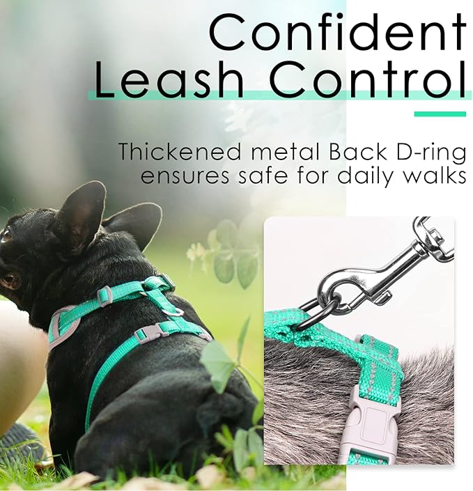 ThinkPet Reflective Breathable Soft Air Mesh No Pull Puppy Choke Free Over Head Vest Harness for Puppy Small Medium Dogs and Cats Teal Large