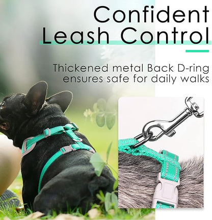 ThinkPet Reflective Breathable Soft Air Mesh No Pull Puppy Choke Free Over Head Vest Harness for Puppy Small Medium Dogs and Cats Teal Large