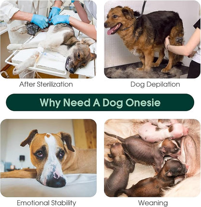Kuoser Dog Recovery Suit for Post-Surgery Care, Spay Neuter Bodysuit for Female & Male Dogs, Anti-Licking Surgical Onesie, Snug Fit for Abdominal Wound Protection & Skin Healing, Brown XXL