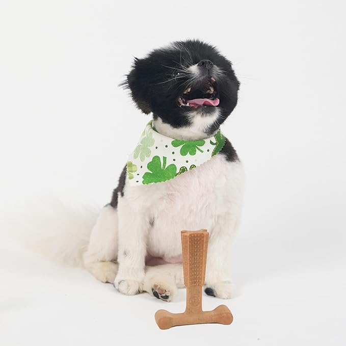 SPOT Bam-Bones Plus T-Bone, Bamboo Fiber & Nylon Dog Chew, Durable for Aggressive Chewers, Non-Splintering, for Adult Dogs & Teething Puppies Under 30lbs, 4in, Chicken Flavor