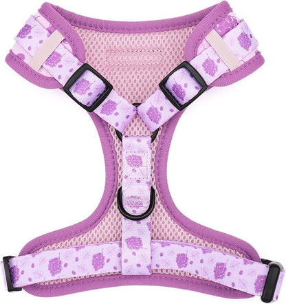 Dog Harness and Leash Set, Adjustable Dog Harness, Dog Leash, No Pull No Choke Puppy Harnesses for Walking Training for Small Medium Pet (Wines, XS(Chest 9.9-13.5", Neck 7.8-10.2"))