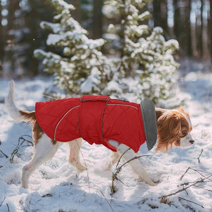 Kuoser Dog Winter Coat Waterproof Dog Snow Jacket, Warm Fleece Lined Pet Turtleneck Snowsuit Puppy Cold Weather Coats with Harness Hole, Adjustable Winter Vest for Medium Large Dogs, Red, L