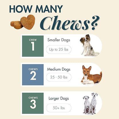Wholistic Pet Allergy & Immune - Dog Allergy Chews with Mushrooms, Colostrum, Turmeric & Salmon Oil - Immune Support & Itch Relief for Dogs - Pre & Probiotics for Gut Health - Bacon Flavor - 90 Chews