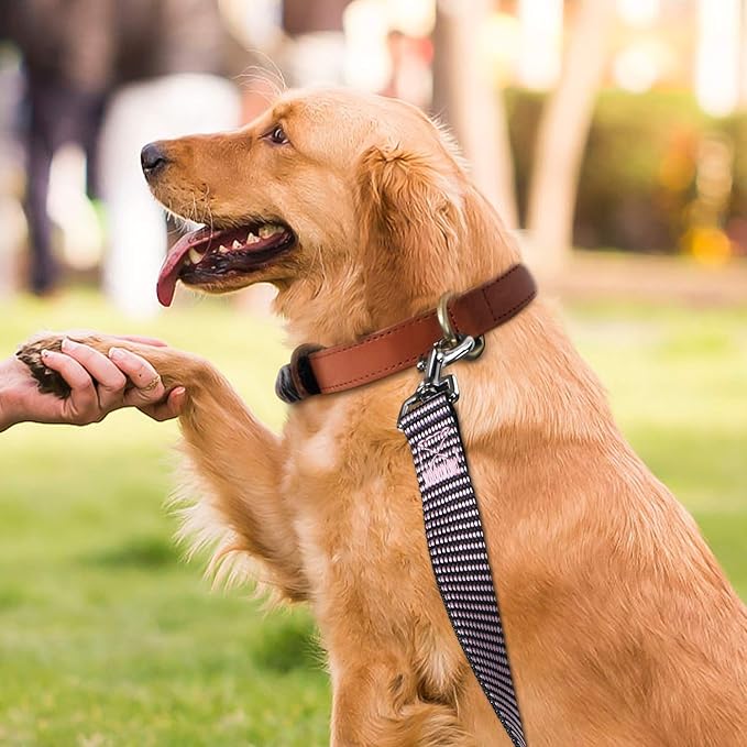 Hi Kiss Dog/Puppy Obedience Recall Training Agility Lead - 15ft 20ft 30ft 50ft 100ft Training Leash - Great for Training, Play, Camping, or Backyard(20ft,BL+PK)