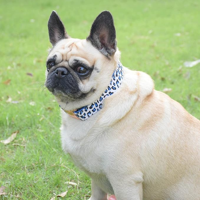 Metal Buckle Dog Collar, Durable Adjustable Dog Collar Soft for Small Medium Large Dogs (M(13-18in), Blue Leopard)