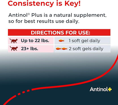 Antinol Plus, Mobility, Hip, and Joint Supplement for Cats, Green-Lipped Mussels and Krill Oil - Cat Joint Supplement, 60 Soft Gels
