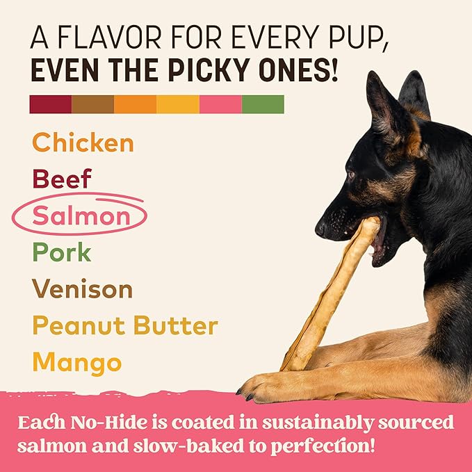 Earth Animal No Hide Chews - Long Lasting Rawhide Free Large Dog Chews Rolls, Salmon - 2 Count