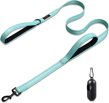 Heavy Duty Leash for Large Breed Dogs - Double Handle Reflective Training Lead - Perfect for Medium to Large Dogs (6FT Lake Blue)