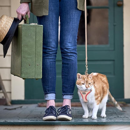 Betmaypet Cat Harness and Leash Set, Soft and Breathable Vest with Reflective Strip, Escape Proof Kitten Harness, Easy to Wear for Cats Walking and Traveling (Green, XXS)