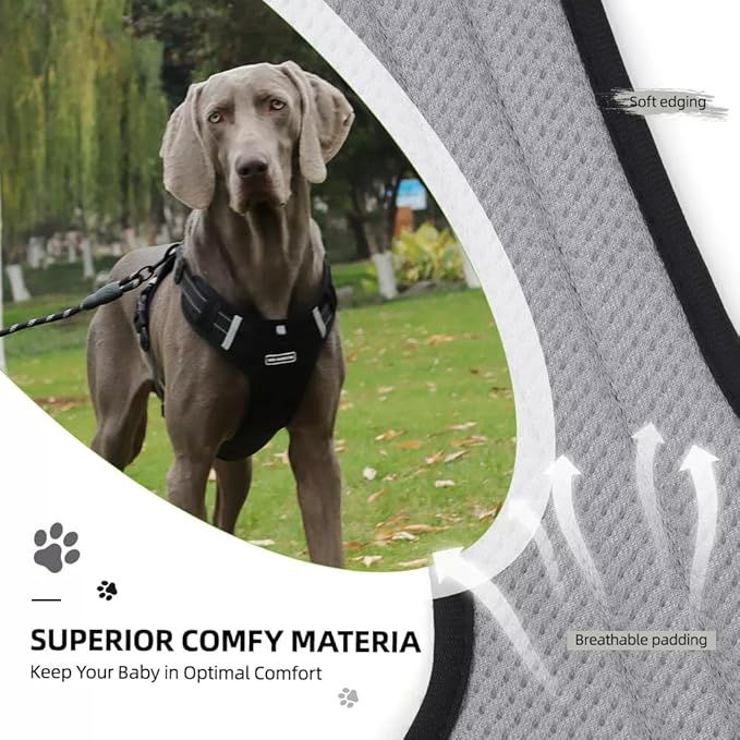 Dog Harness No Pull Adjustable Reflective,for Medium and Large Small Dog with Leash 59.06in (Black, L)