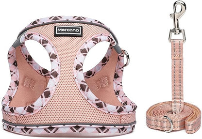 Mercano Soft Mesh Dog Harness and Leash Set, No-Chock Step-in Reflective Breathable Lightweight Easy Walk Vest Harnesses with Safety Buckle for Small Dogs, Cats (Champagne, XXS)