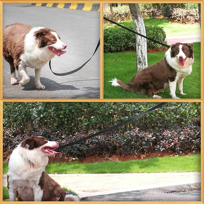 AMAGOOD 6 FT Puppy/Dog Leash, Strong and Durable Traditional Style Leash with Easy to Use Collar Hook, Great for Small, Medium and Large Dogs (1" x 6 ft, Black and Blue (2-Pack))