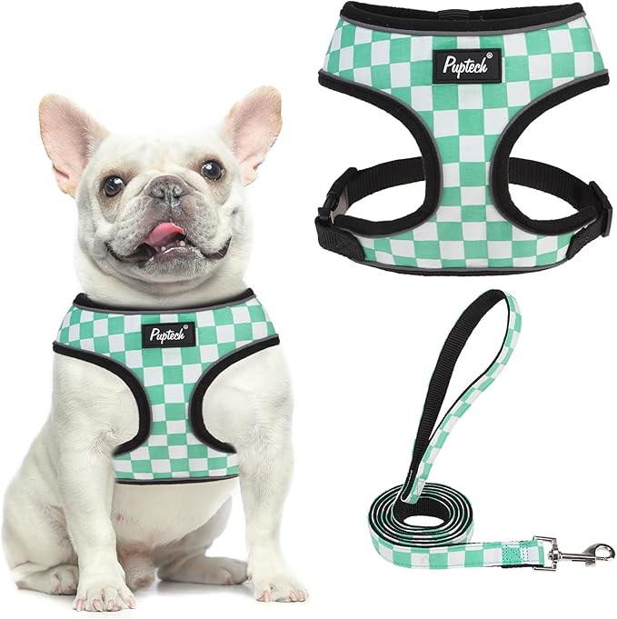 PUPTECK Soft Mesh Dog Harness and Leash Set Pet Puppy Cat Comfort Padded Vest No Pull Harnesses, Checkered Green&White, L