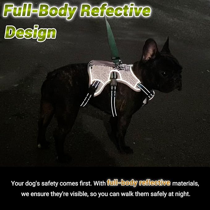 BELPRO Multi-Use Support Dog Harness, Escape Proof No Pull Reflective Adjustable Vest with Durable Handle, Dog Walking Harness for Big/Active Dogs (Green, S)