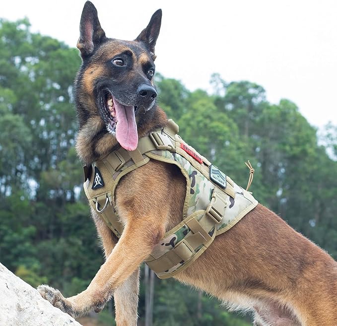 Tactical Dog Harness Vest with Handle, Military Dog Harness for Large Medium Dogs,No-Pull Service Dog Vest with Hook & Loop Panels,Adjustable Dog Vest Harness for Walking Hiking Training（Camo）