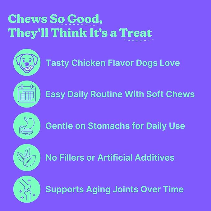 Hip & Joint Dog Supplement Chews, Chicken Flavor, 120 Count, Glucosamine, Chondroitin, MSM, Hemp Seed Oil & Turmeric, Joint Mobility, Flexibility & Comfort, Dogs of All Ages