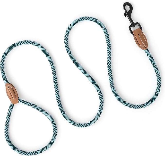 Mile High Life Small Dog Leash, Thin Rope Leash with Genuine Leather Connection and Heavy Duty Metal Clasp, Great for Small Medium Dogs(Turquoise Green, 72 Inch-1/3)
