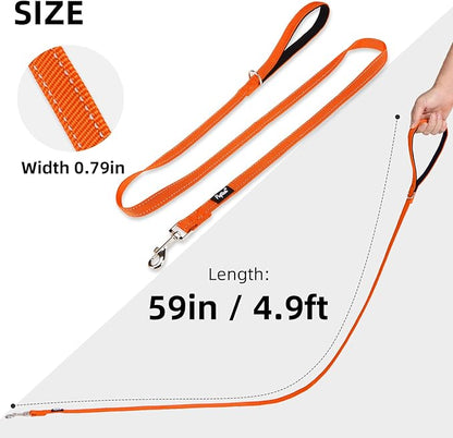 PUPTECK Reflective Dog Leash with Comfortable Padded Handle Durable Nylon Dog Lead for Small Medium and Large Dogs Cats Walking Running Training Outside, Orange