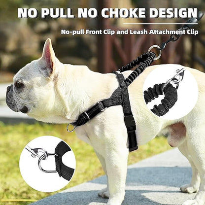 PUPTECK No Pull Dog Harness Small Sized Dog, Adjustable Reflective Pet Vest Harness with Bungee Handle, Escape Proof No Choke Harness for Small Dogs Walking Training, Black XS