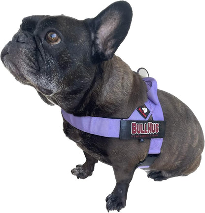 BULLHUG Adjustable Dog Harness– No Pull, No Choke – for English Bulldogs, French Bulldogs, Pugs & Broad-Chested Breeds – Easy, Safe Walks (Purple, XL)