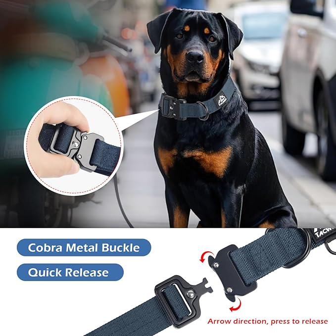 Dog Collar for Small Dogs Christmas Boy Girl- Adjustable, Chew Proof Nylon Collar with Metal Quick Release Buckle and D-Ring for Dog Tags (Navy Blue, S)(not Included The Pendant)