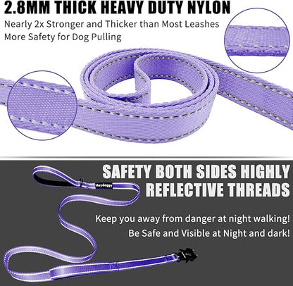 Strong Heavy Duty Dog Leash - 6ft Reflective Nylon Training Leash with Soft Padded Double Handle & Auto Lock Frog Clip, Safety Traffic Control for Large Medium Small Dogs No Pull Walk Light Purple,6ft