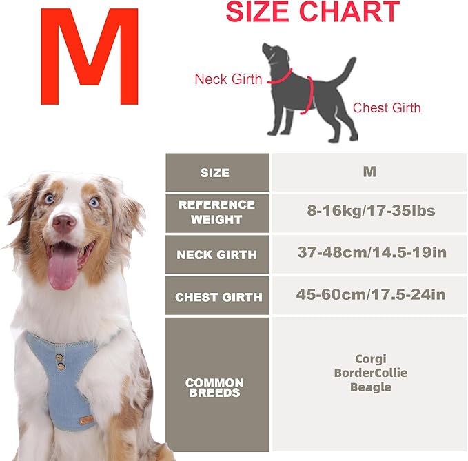 Dog Harness, No Pull Dogs Harness and Multi-Function Leash Set for Medium Dogs Easy Walk Everyday Adjustable Soft Dog Vest Harness Fashionable Dog Accessories Glacier Blue Button-M(17lb-35lb)